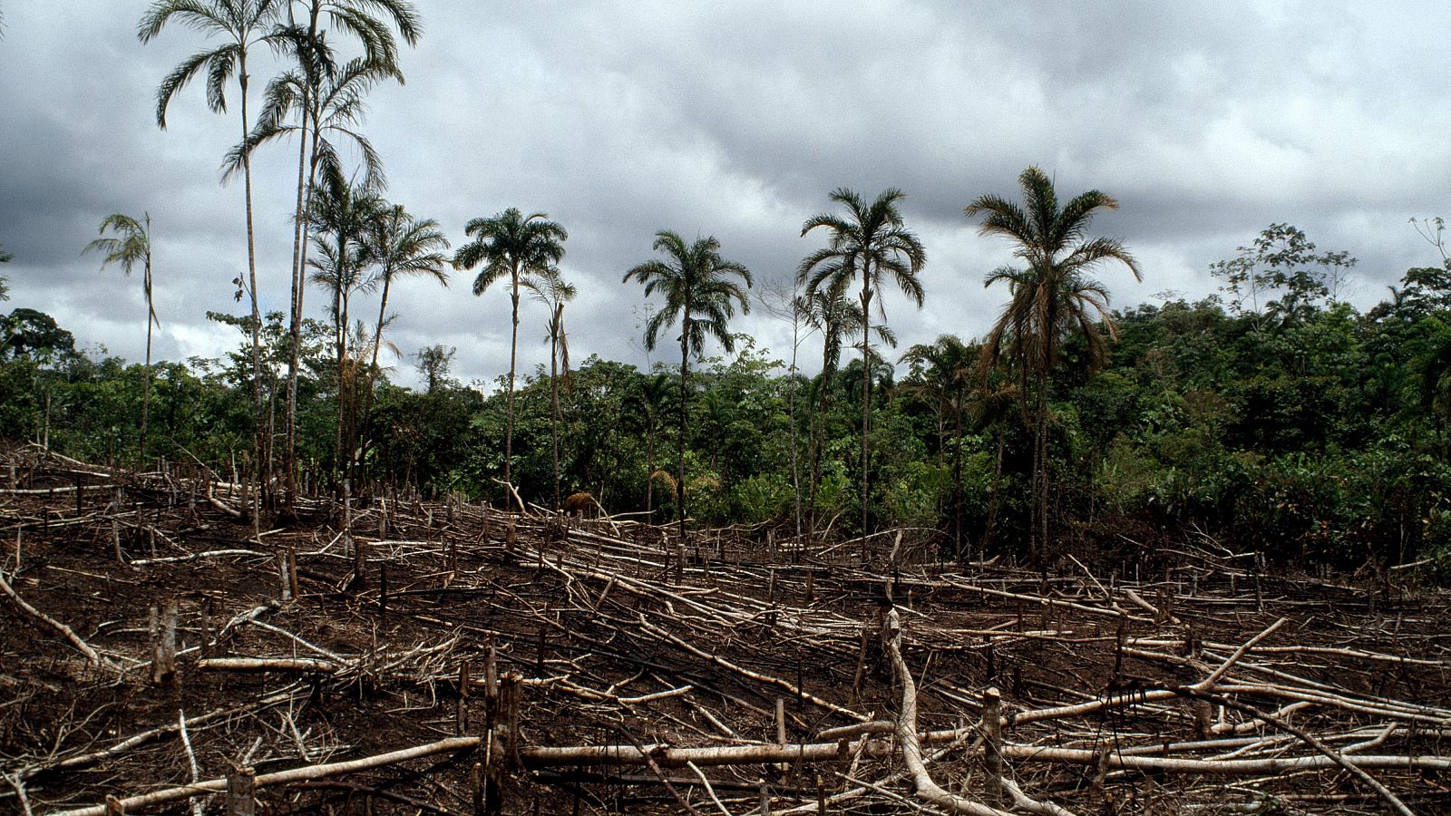 Justicia climática, uno de los mayores reclamos de la COP29