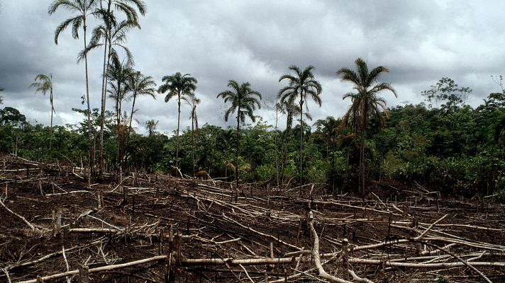 Justicia climática, uno de los mayores reclamos de la COP29 de Bakú