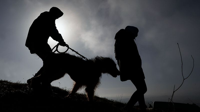 El Tiempo, 20/11/24: Cuatro comunidades en alerta por el viento - El tiempo | Ver