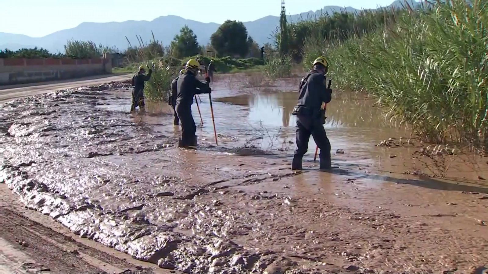 L'Informatiu de la Comunitat Valenciana 2 - 20/11/24 - L'informatiu - Comunitat Valenciana | Ver