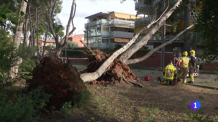 L'Informatiu - L'Informatiu 2 - 20/11/2024
