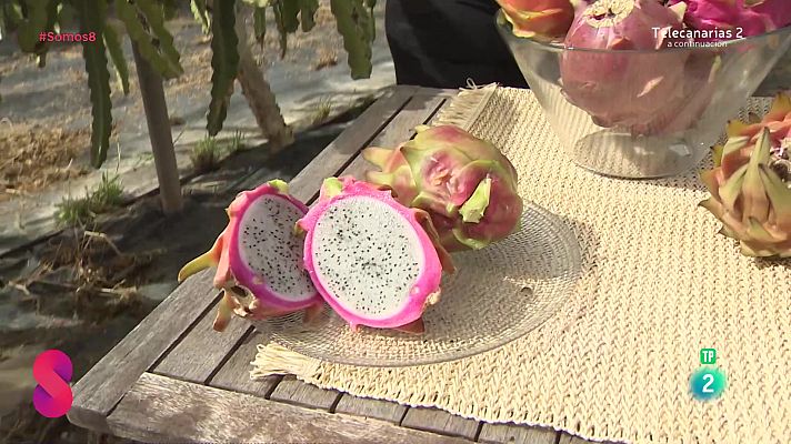 Somos 8 - Somos 8 - 20/11/2024