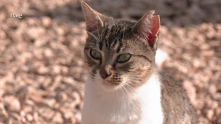 Aquí la Tierra - Aquí la Tierra - 20/11/24