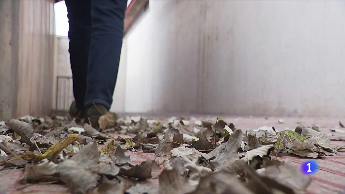 L'Informatiu - L'Informatiu 2 - 21/11/2024