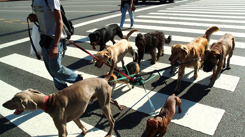 Trabajos extra, un sobresueldo necesario: "Lo hago para sacarme un dinero los fines de semana"