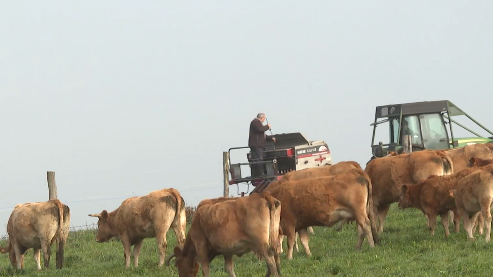 Banco de Tierras, un medio para alquilar fincas en Galicia | Ver