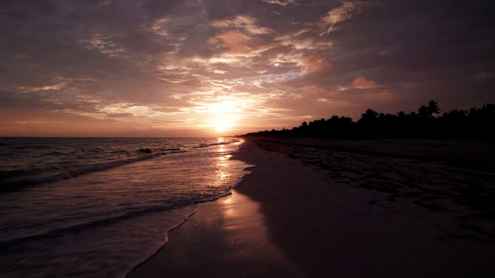 Descubrir - Yucatán, Puerto Maya