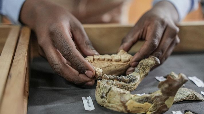 Fin de semana 24h - 50 años del descubrimiento de Lucy, nuestro ancestro más famoso