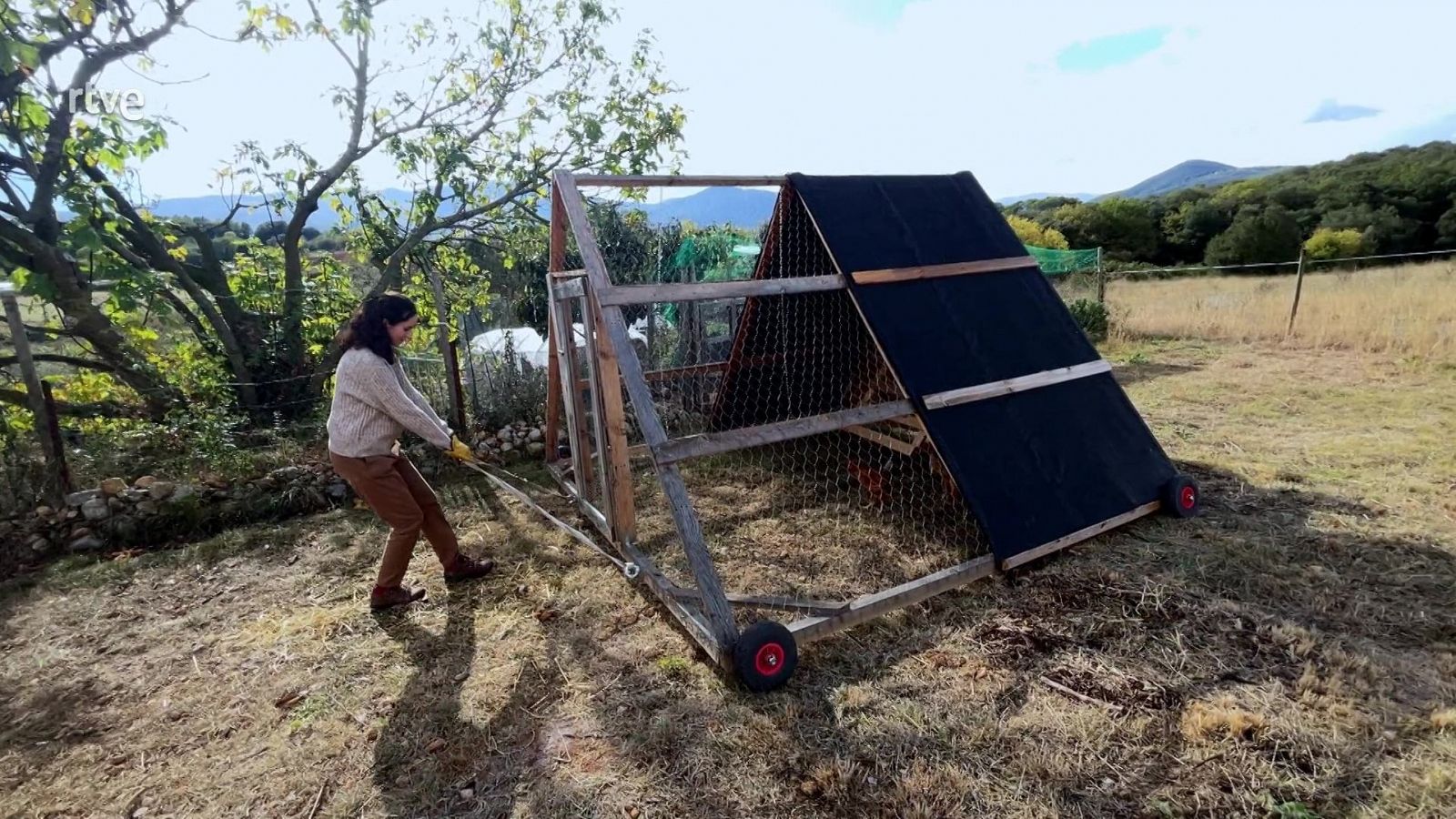 Chicken Tractor - Va de Verd