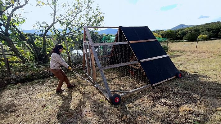 Chicken Tractor