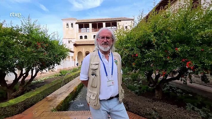 Va de verd - Plantes de l'Alhambra