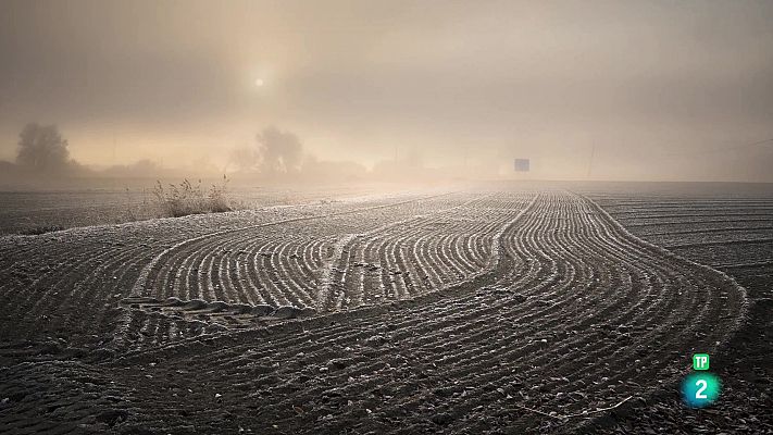 La sombra del tiempo. Edu Barbero