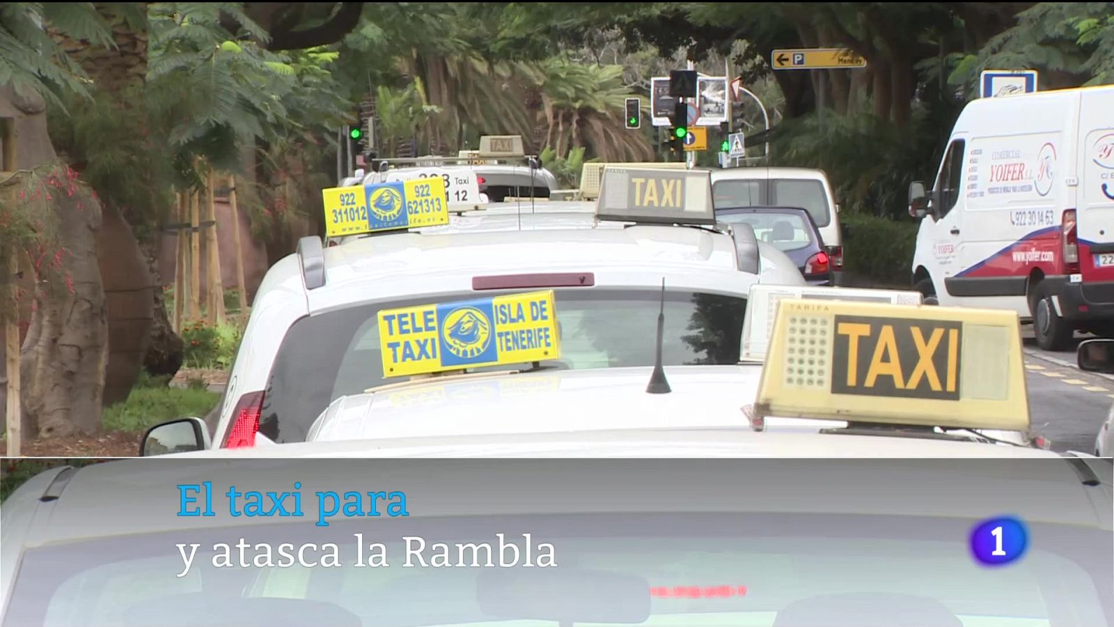 Telecanarias - 26/11/2024 | Ver