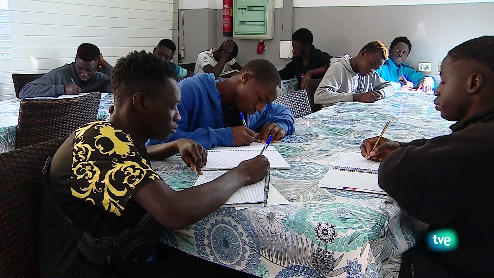 Telecanarias 2 - 26/11/2024 | Ver