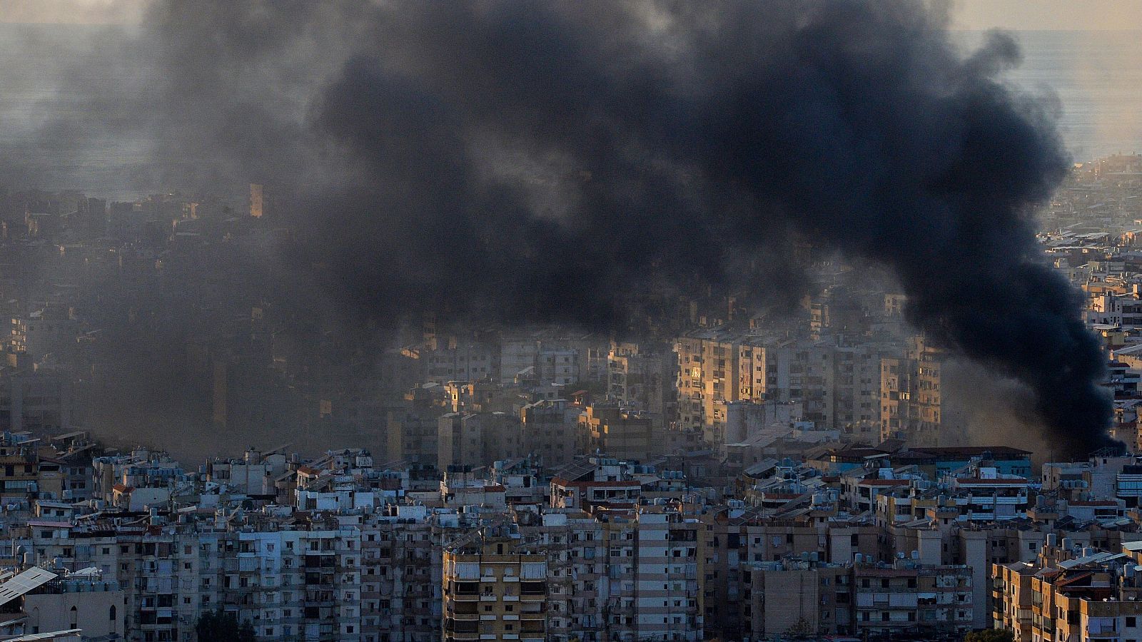 Telediario Internacional - 26/11/24 - ver ahora