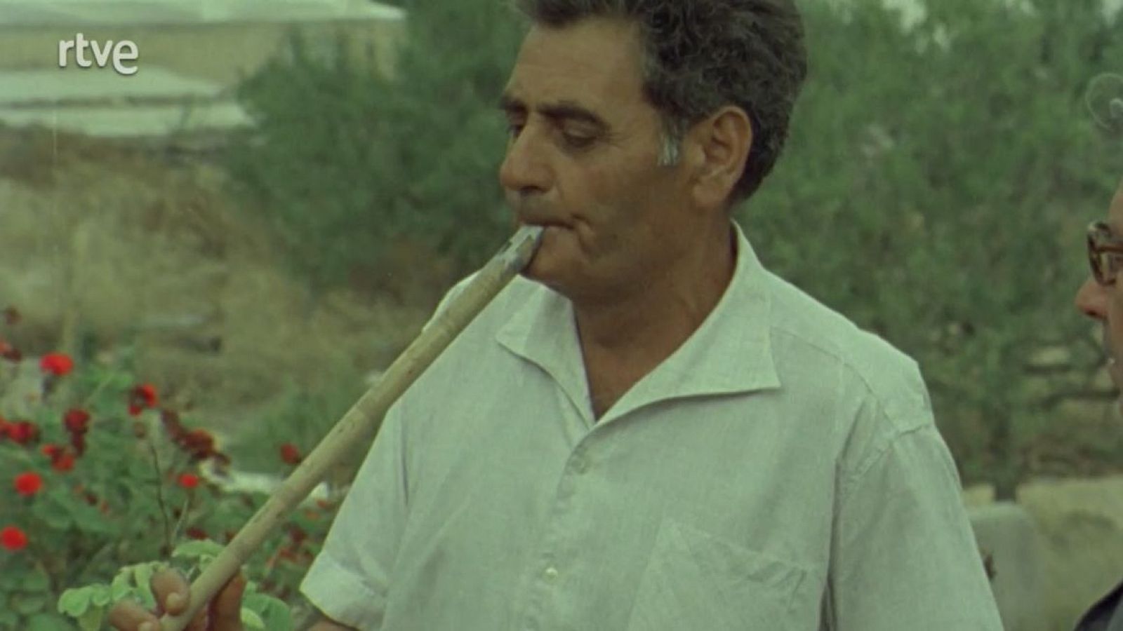 Raíces - Cantos de Navidad - Raíces | Ver