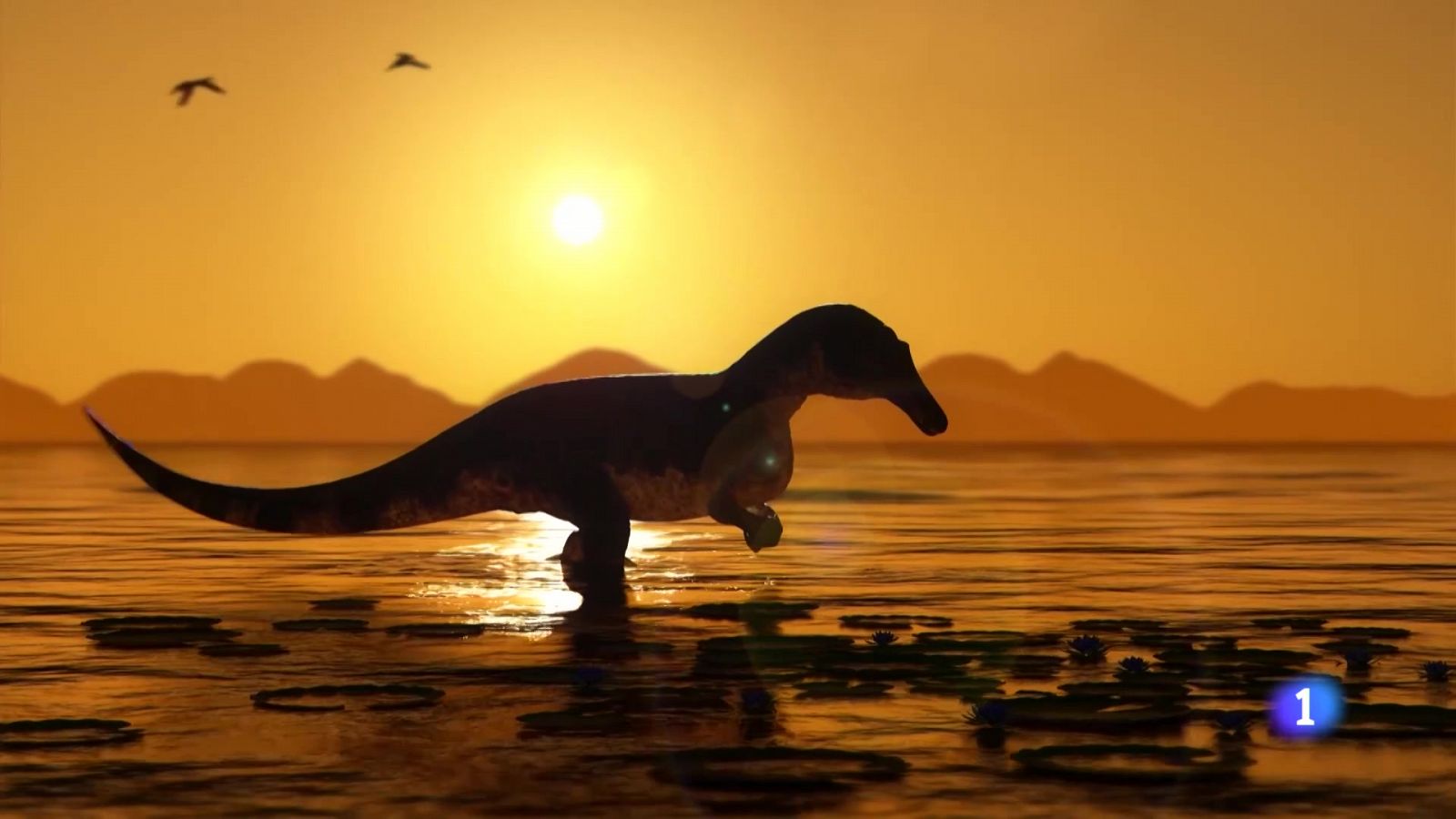 Informativo Telerioja - 27-11-2024 | Ver