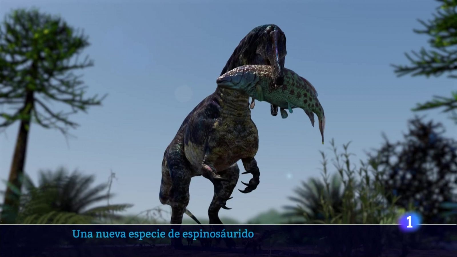 Informativo Telerioja 2 - 27-11-2024 - Informativo Telerioja | Ver