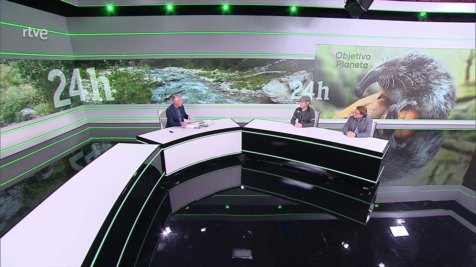 Objetivo Planeta - El declive del singular desmán ibérico - ver ahora