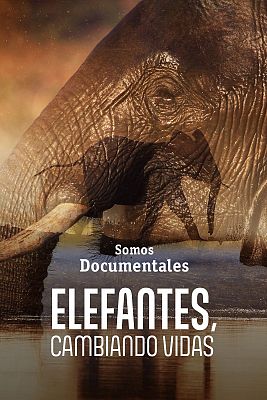 Somos Documentales - Elefantes, cambiando vidas