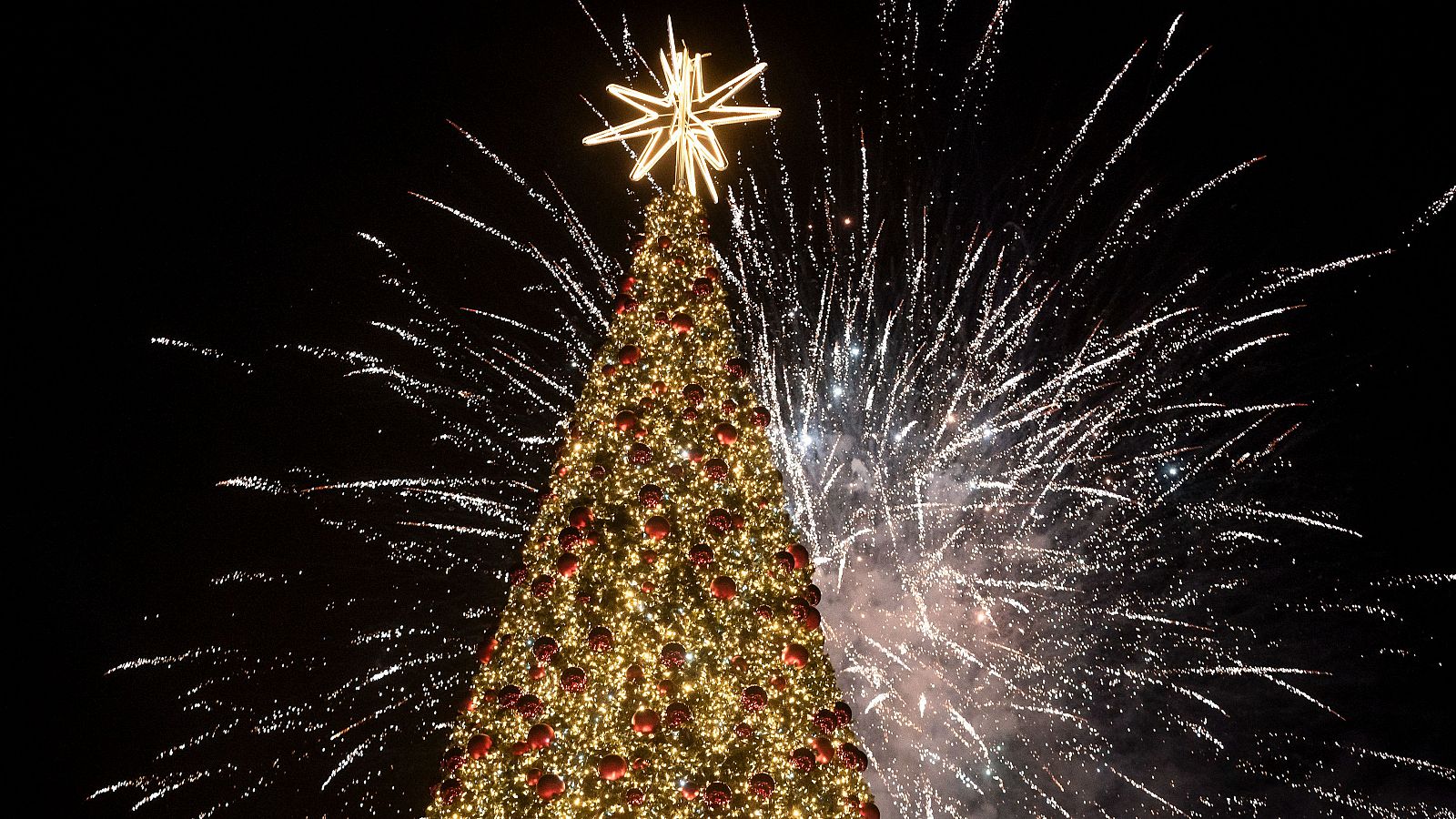 Vuelve la guerra por los árboles de Navidad mejor decorados y más altos