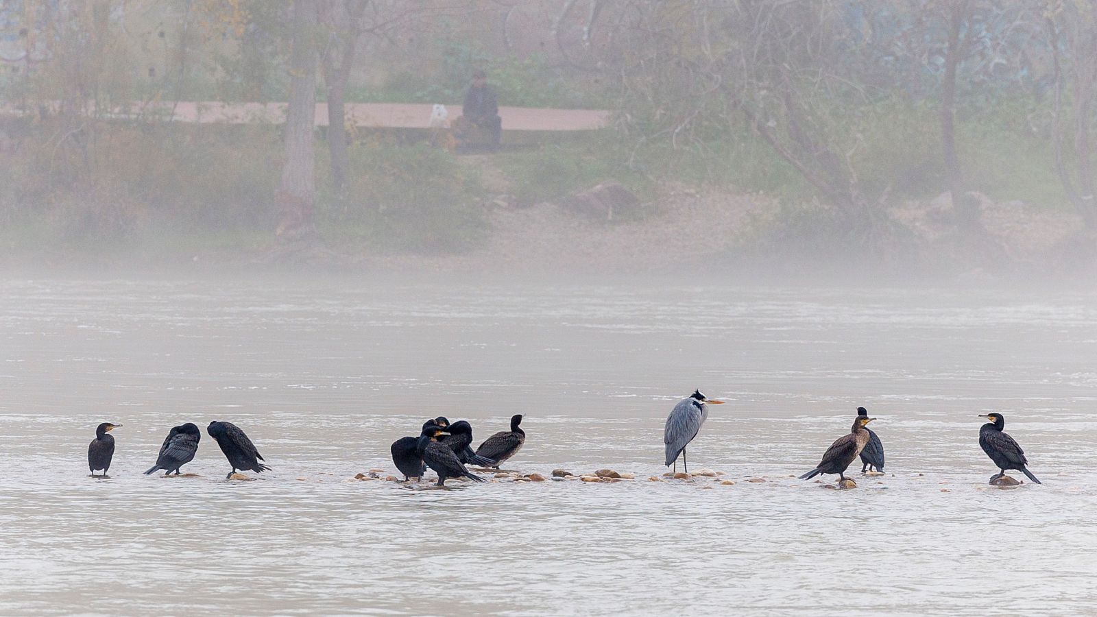 El tiempo matinal - 29/11/2024 - El tiempo | Ver