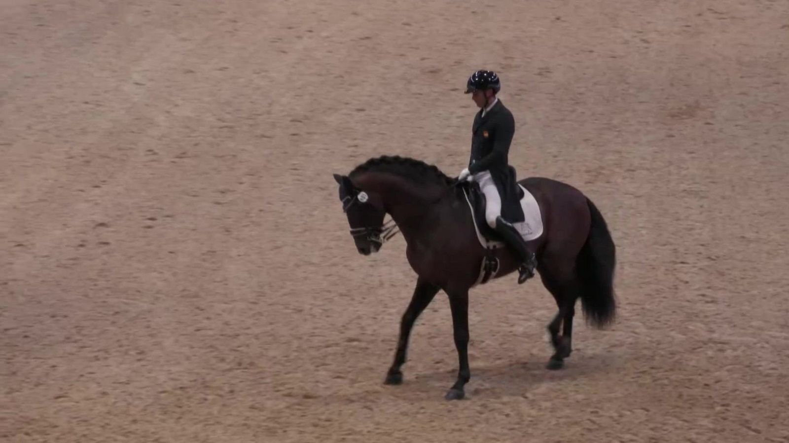 Hípica - Doma SICAB 2024. Final Copa ANCCE - ver ahora