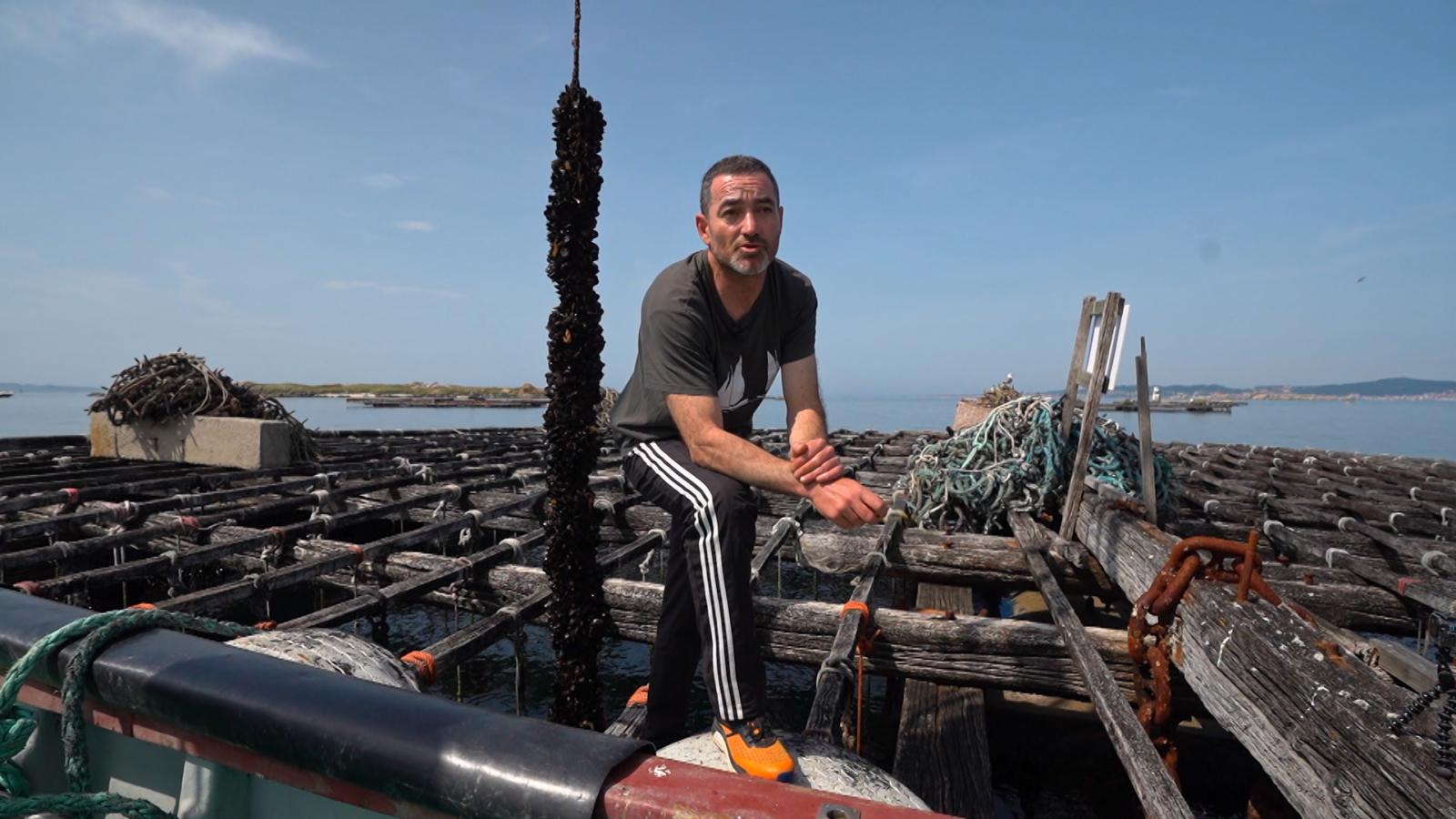 El escarabajo verde - Del hilo a la raíz - ver ahora