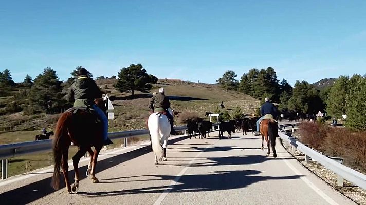 Agrosfera - Agrosfera - 30/11/24