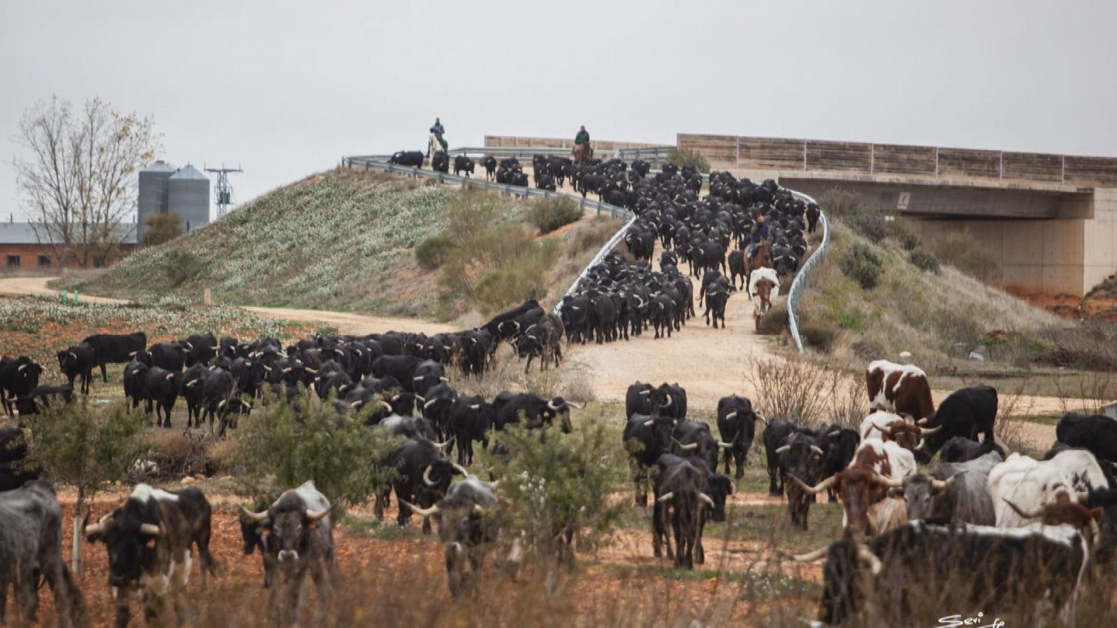 Tendido Cero - 30/11/24 - ver ahora