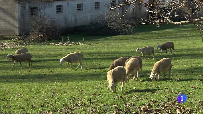 Sardas, el pueblo más pequeño del mundo en conseguir una estrella Michelin