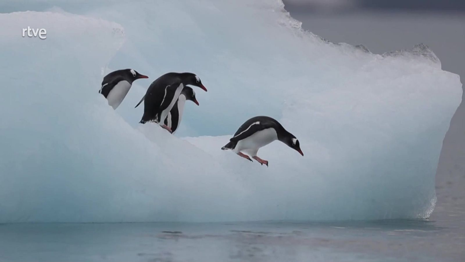 Aquí la Tierra - 01/12/24 - ver ahora