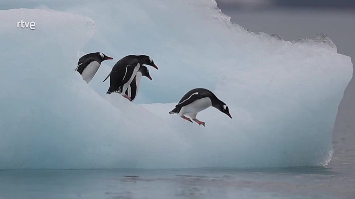 Aquí la Tierra - Aquí la Tierra - 01/12/24