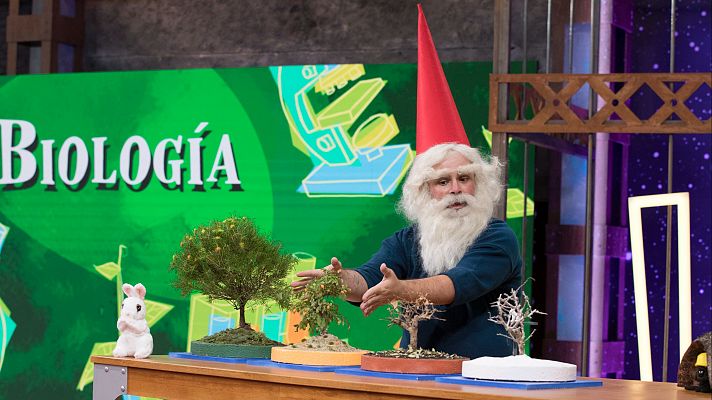 Órbita Laika - Biología con Ricardo Moure: Ciclo vital de los ecosistemas