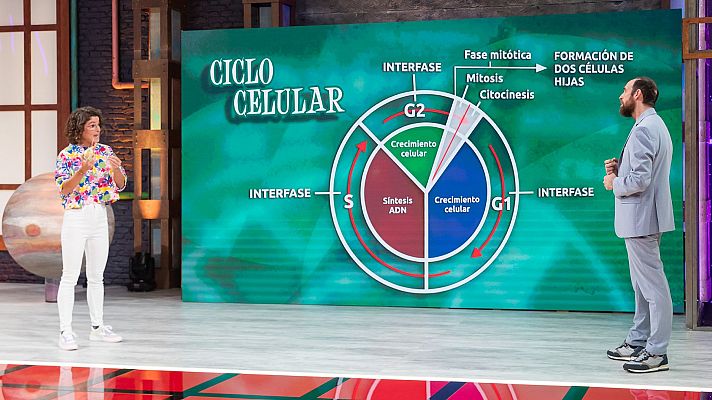 Programa 9: El ciclo de la vida