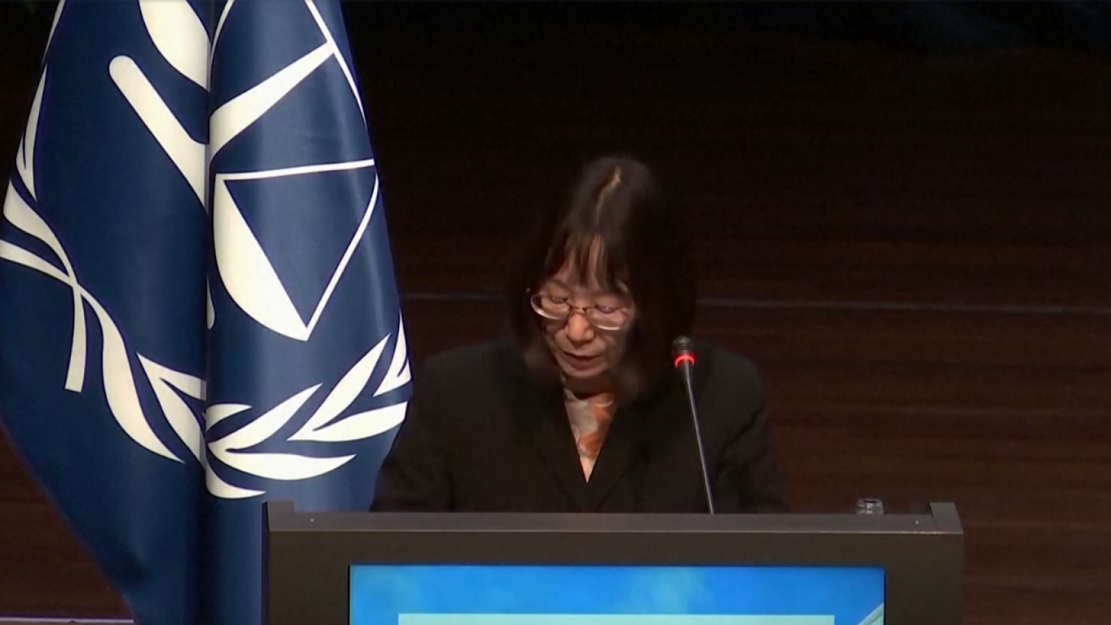 La Corte Penal Internacional acusa a Rusia y EE.UU. de presiones | Ver