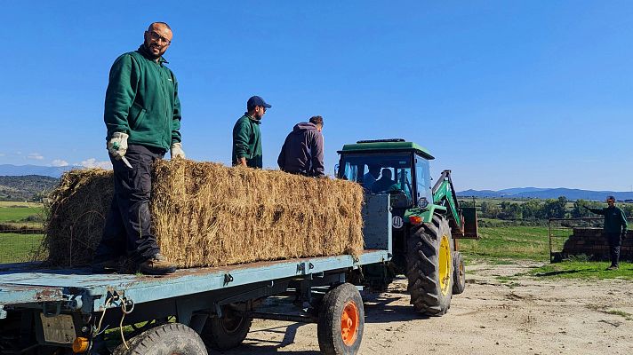 La agricultura ecológica, una oportunidad de integración para los migrantes: "El campo puede rescatar a las personas"