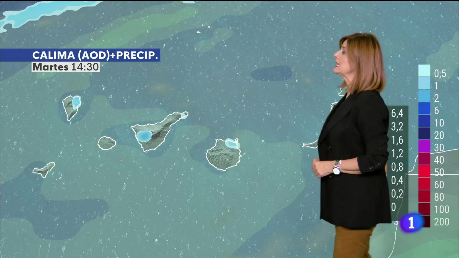 Telecanarias - Programa informativo en RTVE Play