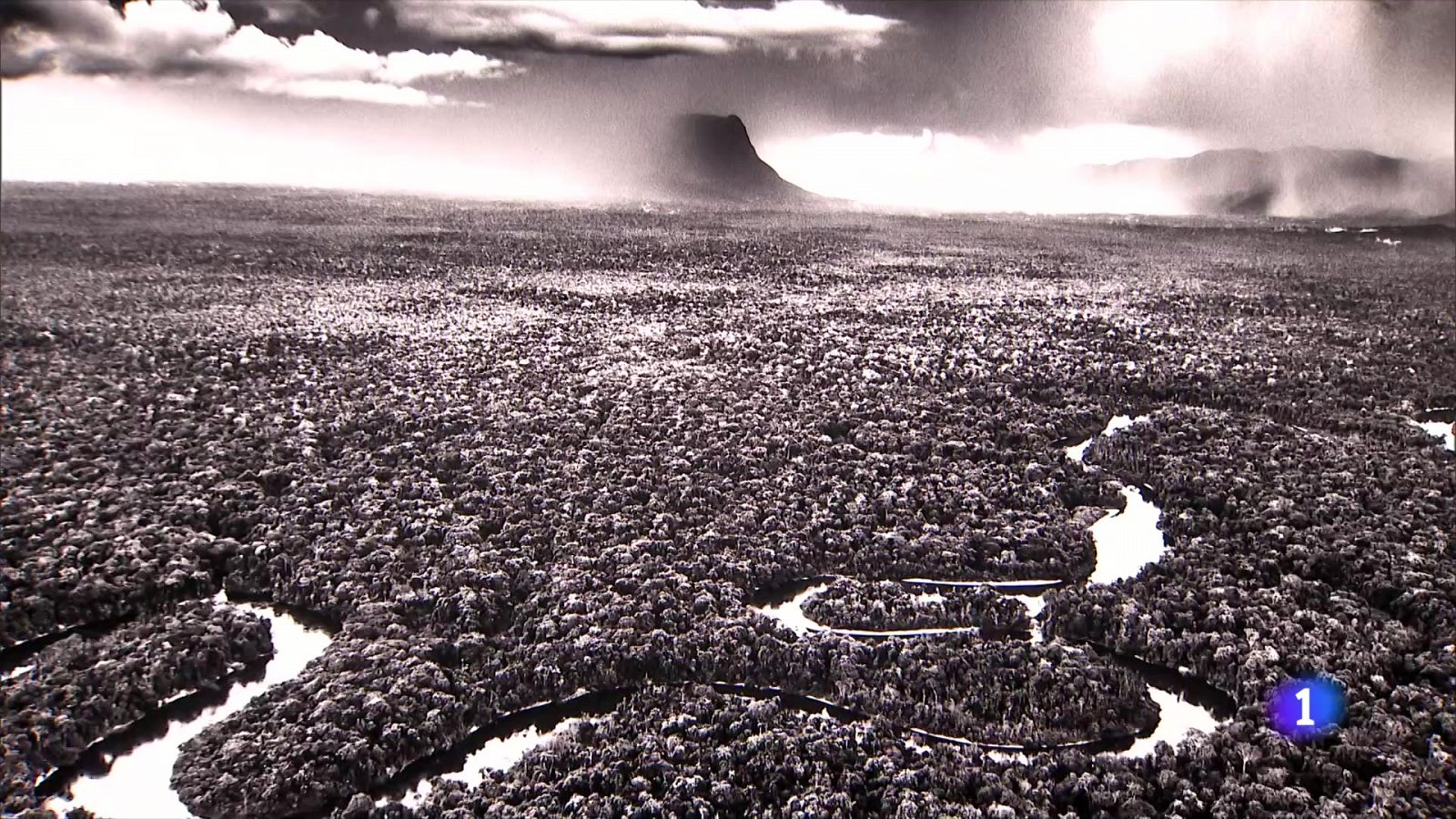 Sebastião Salgado aterra a Barcelona amb l'exposició 'Amazônia' - L'Informatiu | Veure