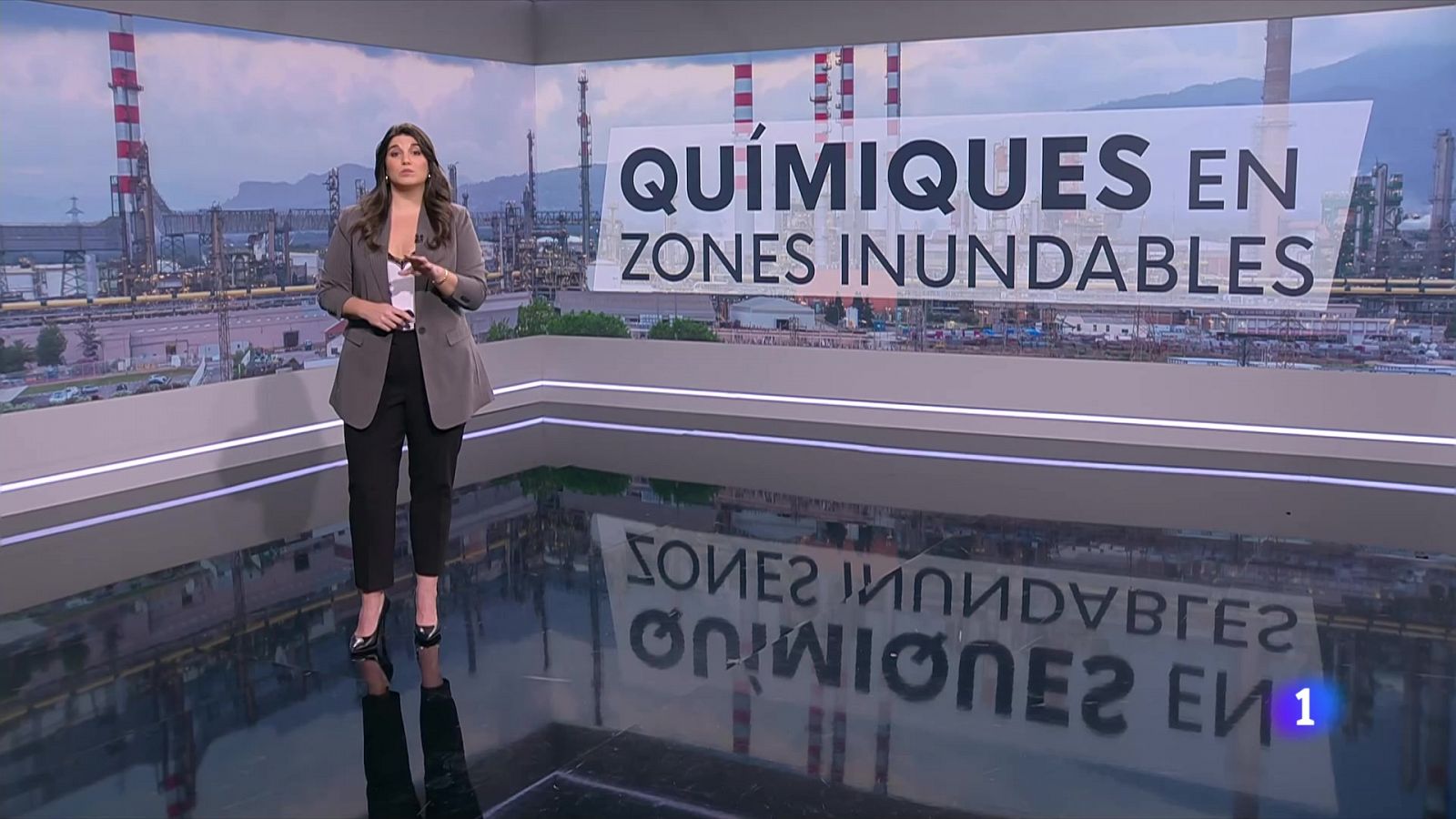 Hi ha 27 indústries químiques en zones inundables a Catalunya - L'Informatiu | Veure