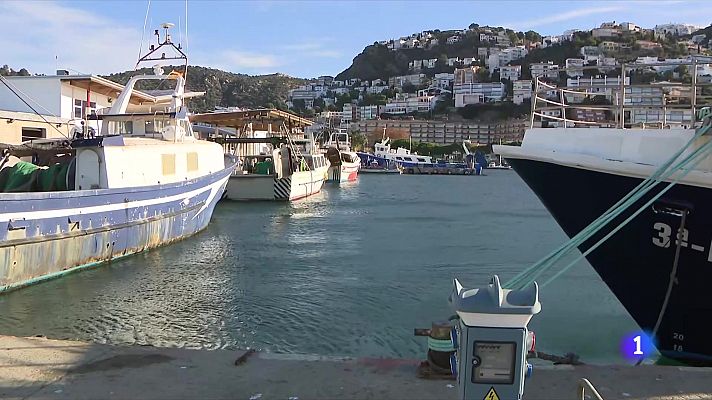 L'Informatiu - Clam dels pescadors contra la reducció dels dies de pesca