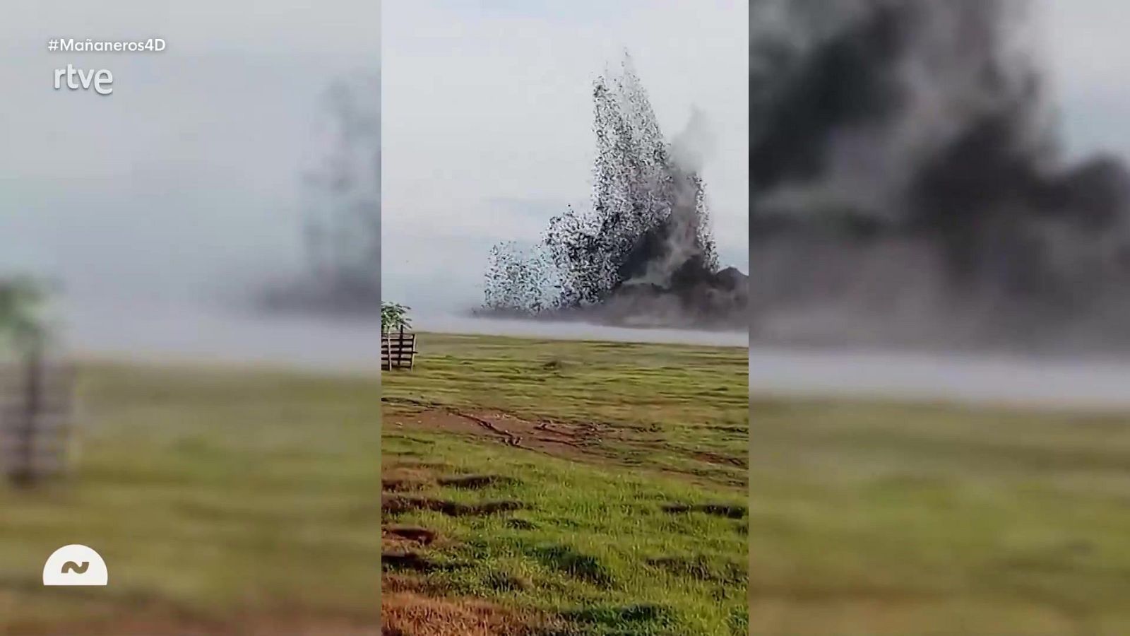 Mañaneros - Programa 305 - ver ahora