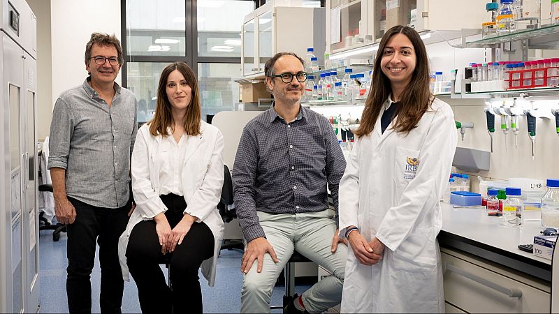 Un estudio revela el papel de unos genes en el autismo idiopático | Ver
