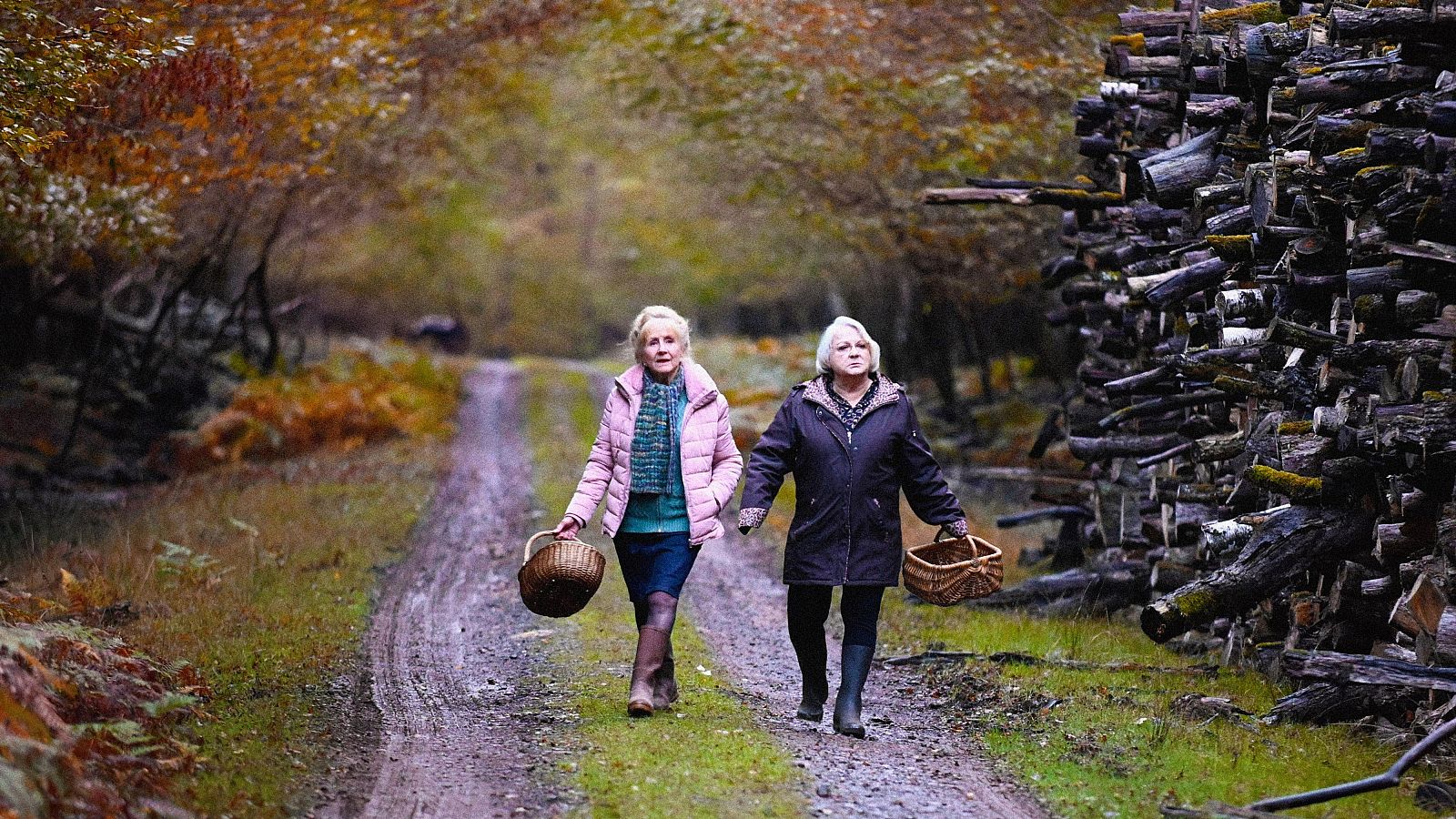 Días de Cine: Cuando caee el otoño