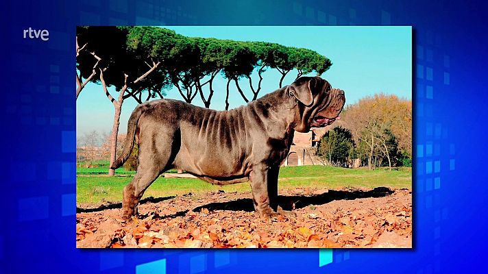 Saber y ganar - Saber y ganar - 06/12/24