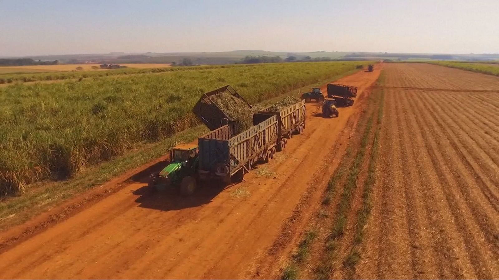 Agrosfera - 07/12/24 - ver ahora