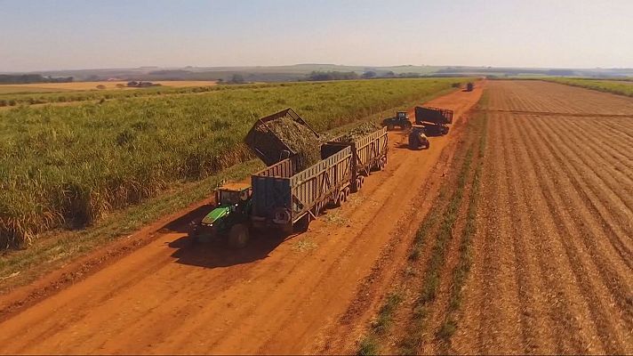 Agrosfera - Agrosfera - 07/12/24