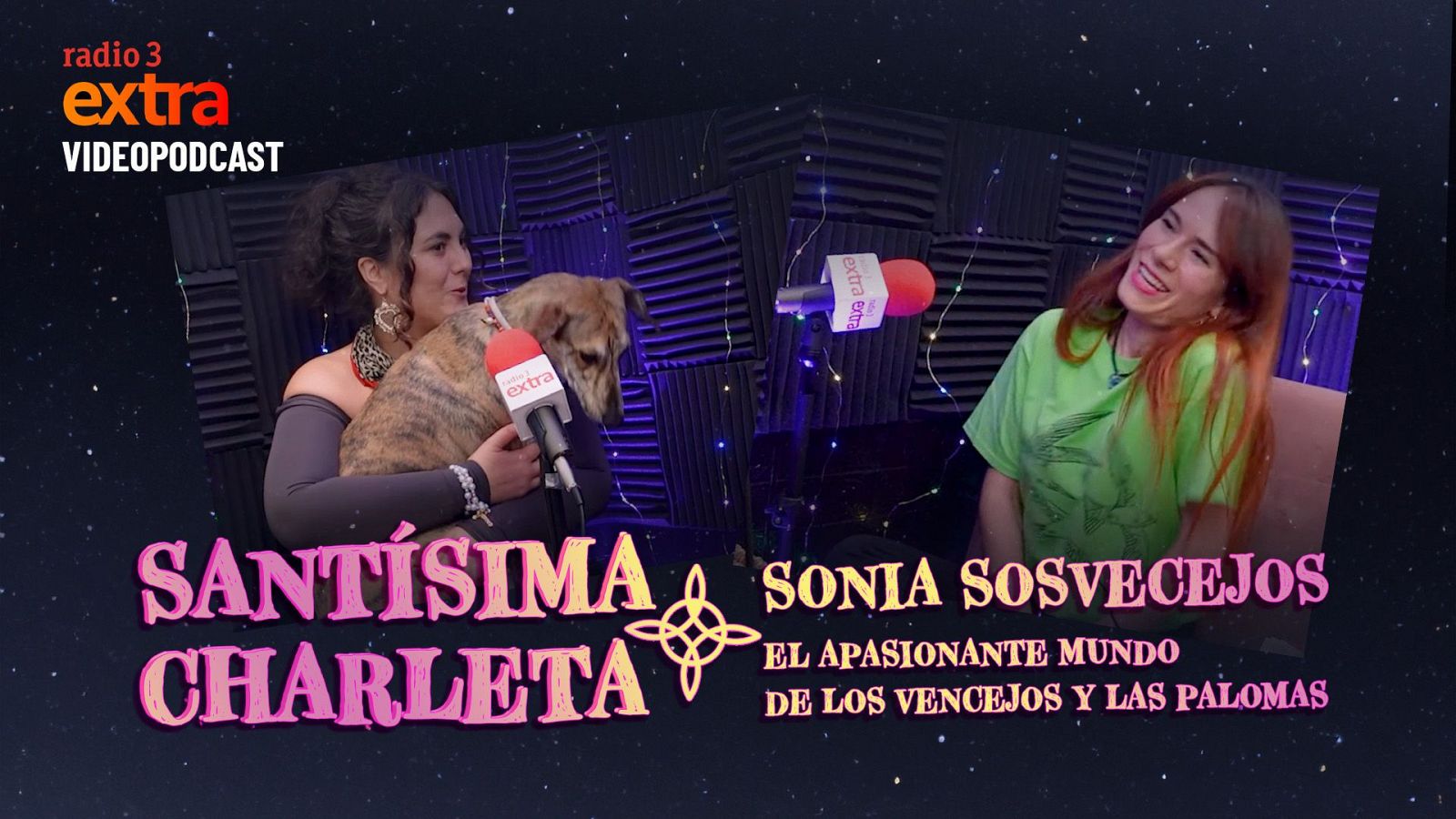 Santsima Charleta - Vdeo: Con Sonia de Sos Vencejos. Los vencejos y las palomas - 08/12/24 - Ver ahora