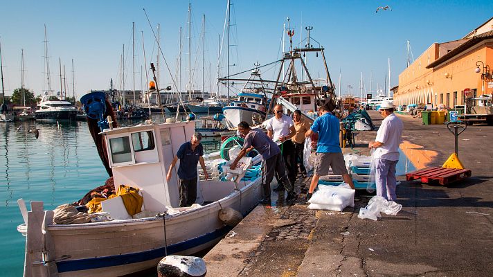 Telediario 1 - Los pescadores muestran su rechazo a la propuesta de la Comisión Europea de reducir los días de pesca