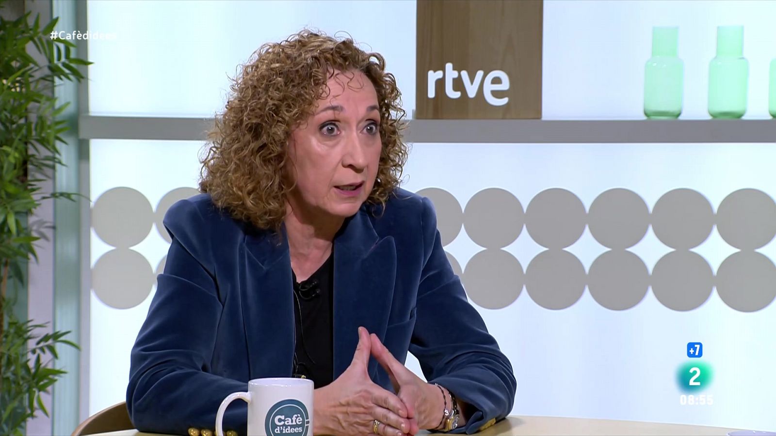 Capella: "Posar pistes d'aterratge a PP i Vox no és bona idea" | Veure